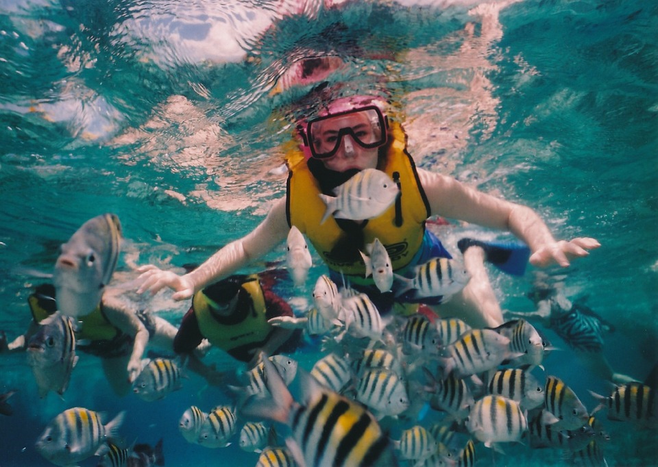 Cozumel reef-snorkeling